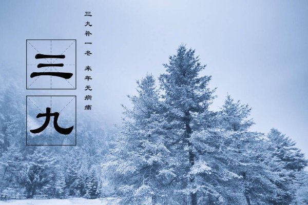 2023年至2024年三九天时间表