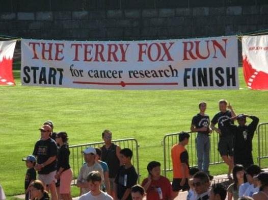 terry是什么意思？