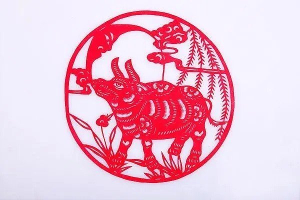 救命稻草是什么动物