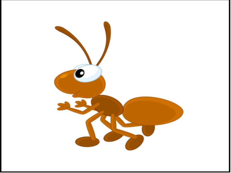 蚁王蚁后是怎么产生的