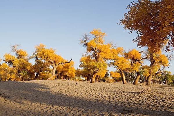 国庆假期或有近8亿人次出游,预测亲子游占28%,有不坑的景点推荐吗?