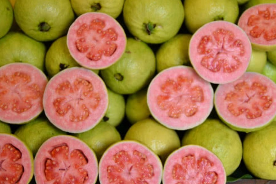 芭拉是指哪种水果