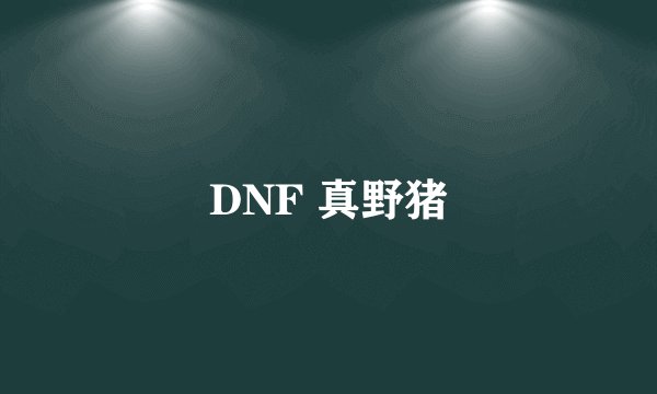 DNF 真野猪