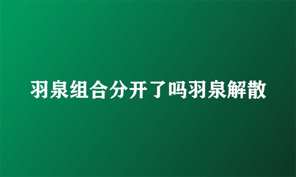 羽泉组合分开了吗羽泉解散