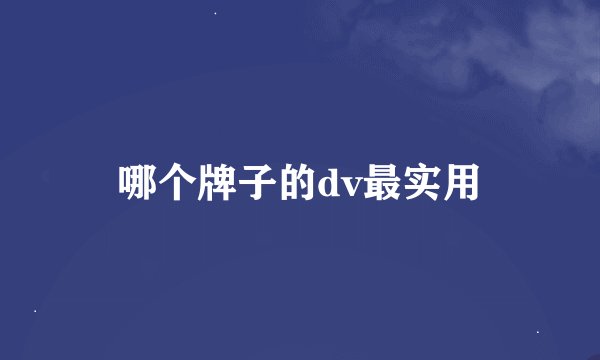 哪个牌子的dv最实用