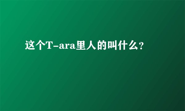 这个T-ara里人的叫什么？