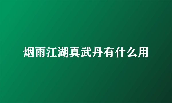 烟雨江湖真武丹有什么用