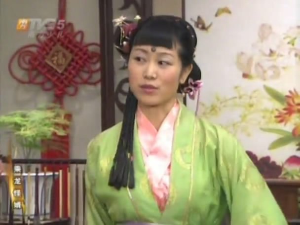 乘龙怪婿4的介绍