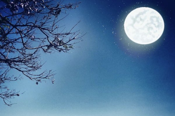 寄书长不达的下一句