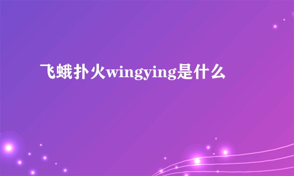 飞蛾扑火wingying是什么