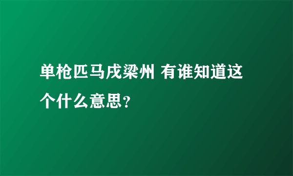 单枪匹马戌梁州 有谁知道这个什么意思？