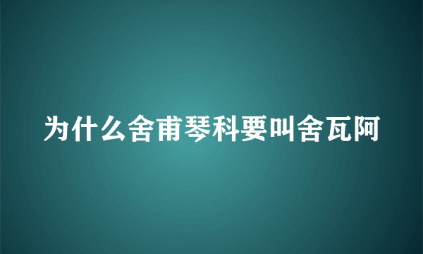 为什么舍甫琴科要叫舍瓦阿
