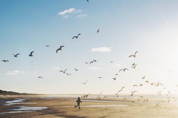 随心所欲什么意思解释