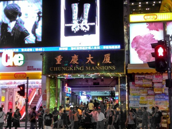 伪男的形态分类