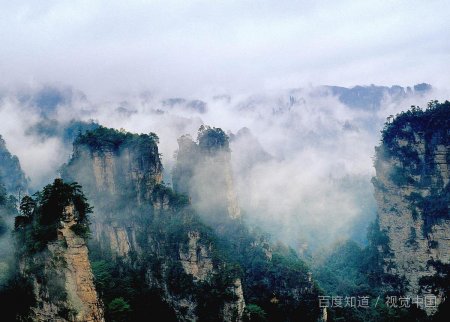 发现老公有外遇了,我的心情很难过!我不知该怎么办呢?