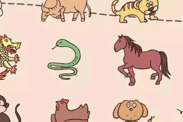 东逃西散十二生肖动物