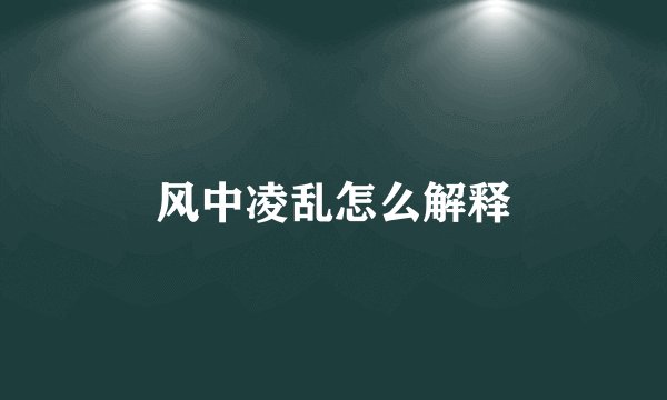 风中凌乱怎么解释