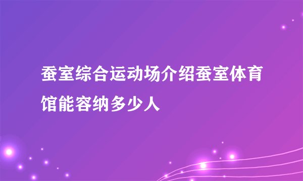 蚕室综合运动场介绍蚕室体育馆能容纳多少人