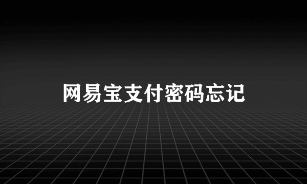 网易宝支付密码忘记