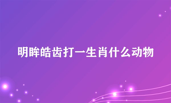 明眸皓齿打一生肖什么动物