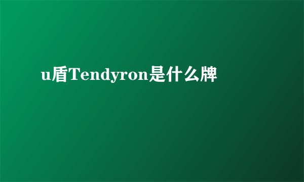 u盾Tendyron是什么牌