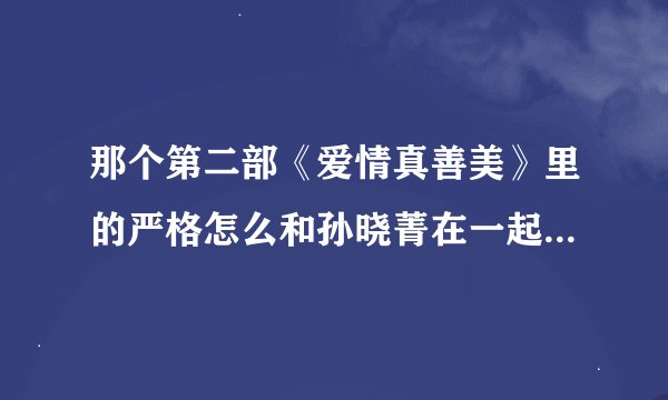 那个第二部《爱情真善美》里的严格怎么和孙晓菁在一起了？！先前第一部《夏家三千金》里不是严格和天美在