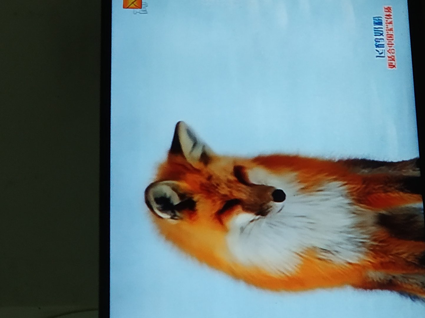 一边上班一边学英语，目标是雅思，能学好英语吗？