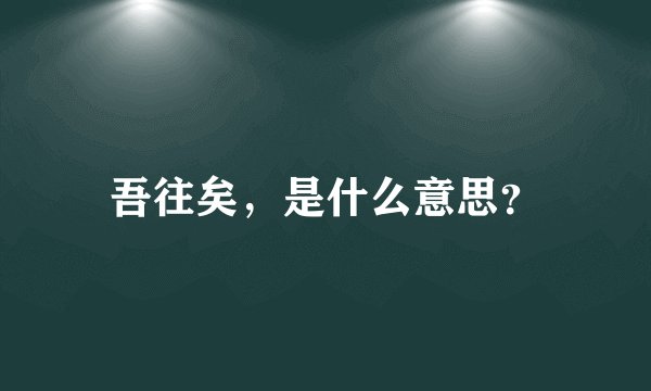 吾往矣，是什么意思？