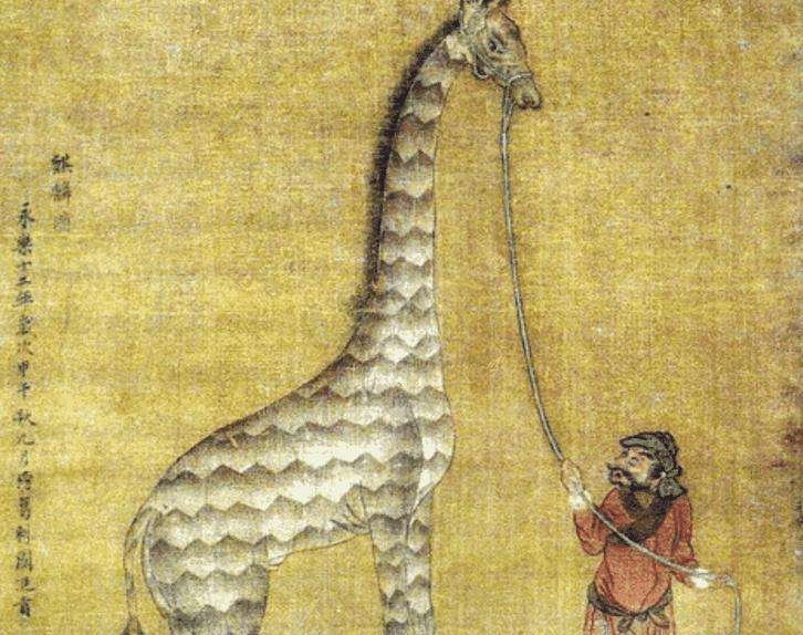 郑和丛西洋带回的麒麟是什么动物