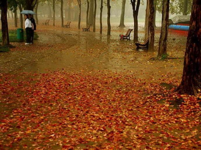 “秋雨绵绵”是什么意思？