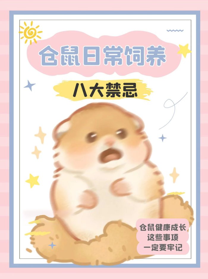 仓鼠饲养八大禁忌，新手必看