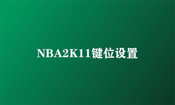 NBA2K11键位设置