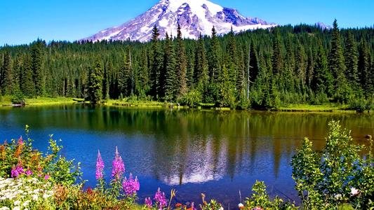 《那个不为人知的故事》陈铭生原型是什么?