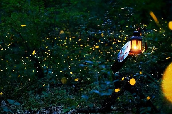 莹莹的含义是什么