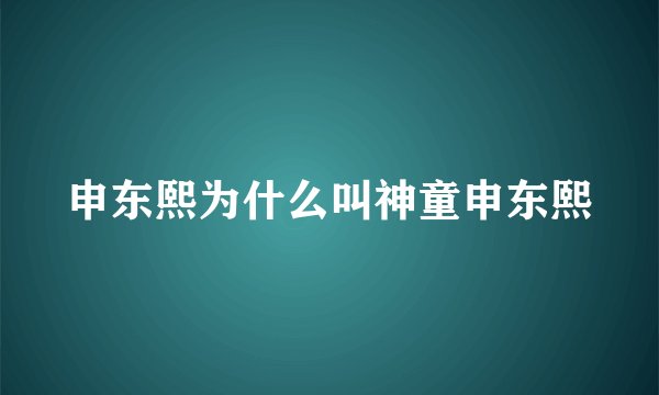 申东熙为什么叫神童申东熙
