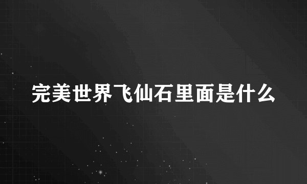 完美世界飞仙石里面是什么