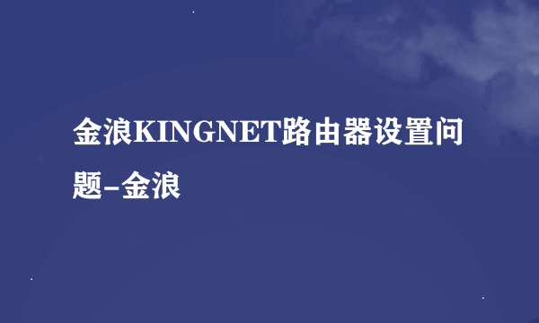 金浪KINGNET路由器设置问题-金浪