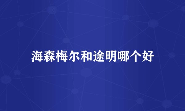 海森梅尔和途明哪个好