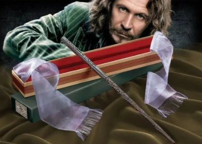 红橡木是谁的魔杖？