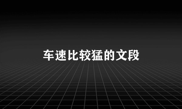 车速比较猛的文段