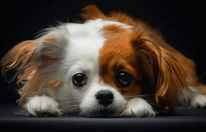 2023年9月28号是什么日子