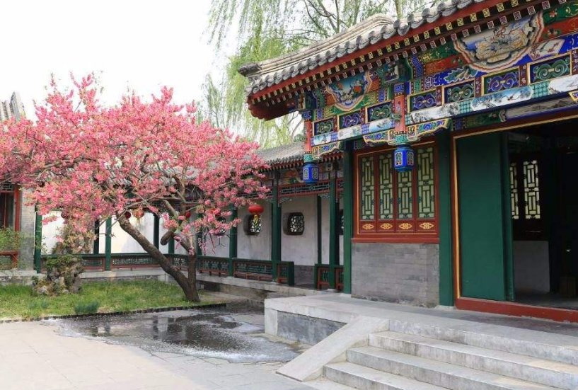 红楼梦中的怡红院是个什么地方？是干什么的？