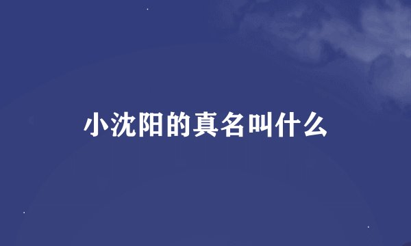 小沈阳的真名叫什么