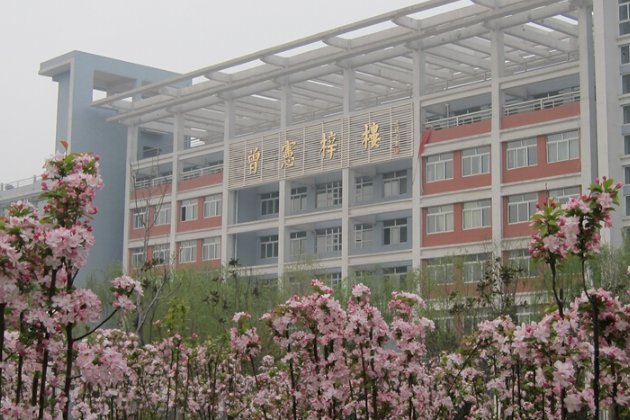 河南2023年高考600分以上多少人