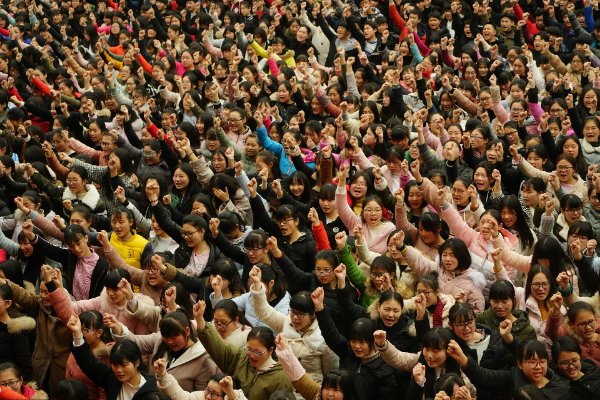 河南高考招生办公室的电话是多少？