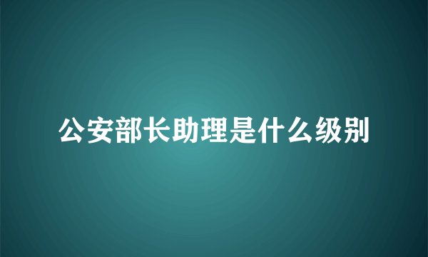 公安部长助理是什么级别