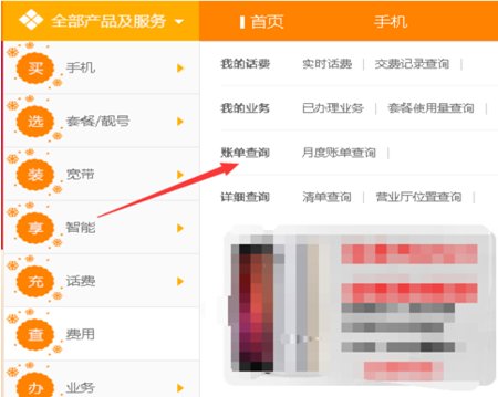 怎么查询中国电信的固定电话的话费情况?