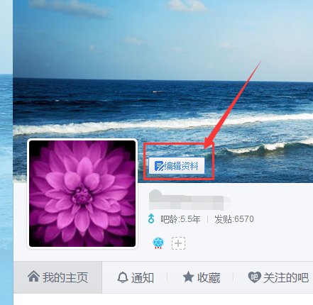 为什么我百度贴吧设计头像，发帖的时候，怎么不显示头像？