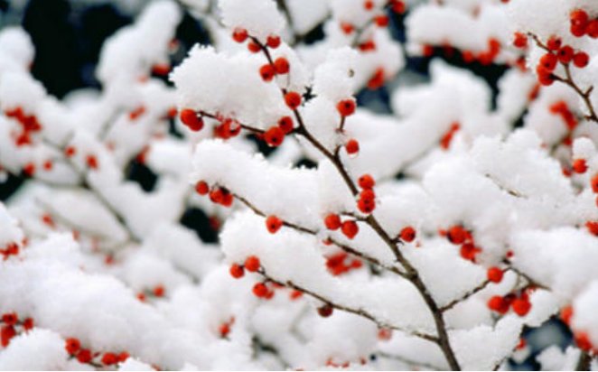 每年的冬至那天都是进九第一天吗