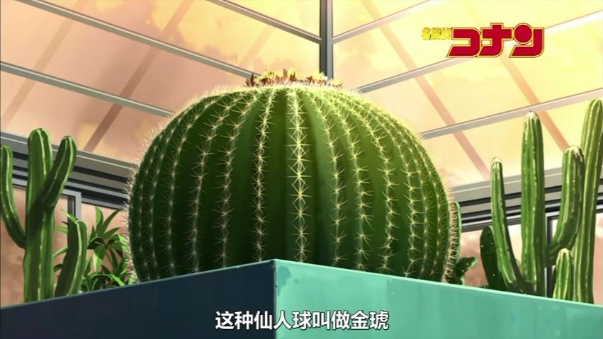 名侦探柯南732集中开头说的jinwu仙人掌 50年开一次花 到底真名是什么？